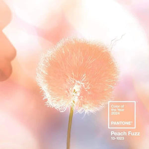 Sandy Mini dress - Peach Fuzz