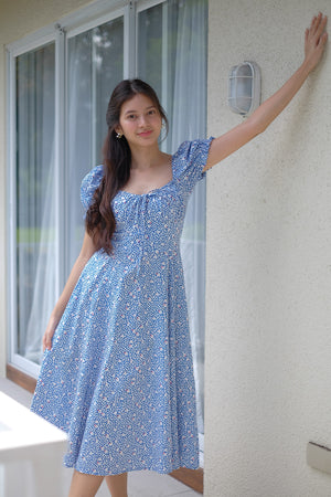 Camilla midi dress - Blue printed